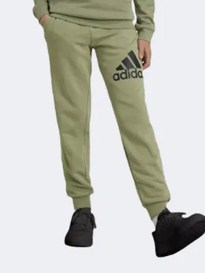 Adidas Essentials Big Logo Boys Sportswear Pant Green/Black