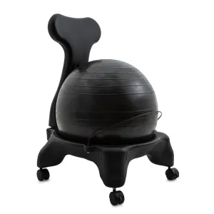 Champion Sports Fitpro Ball Chair