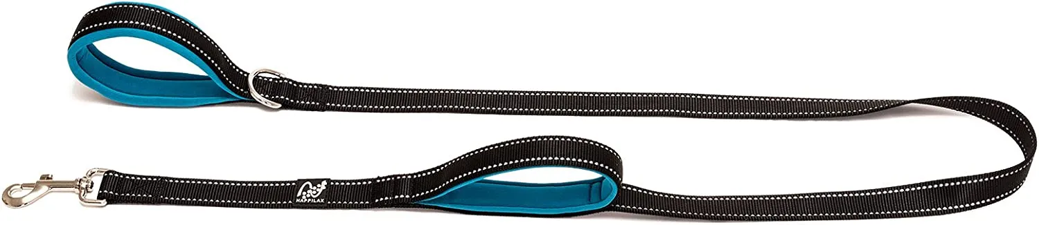 Dog Leash Medium To Large Dogs With Two Handles  Training Control  Reflective