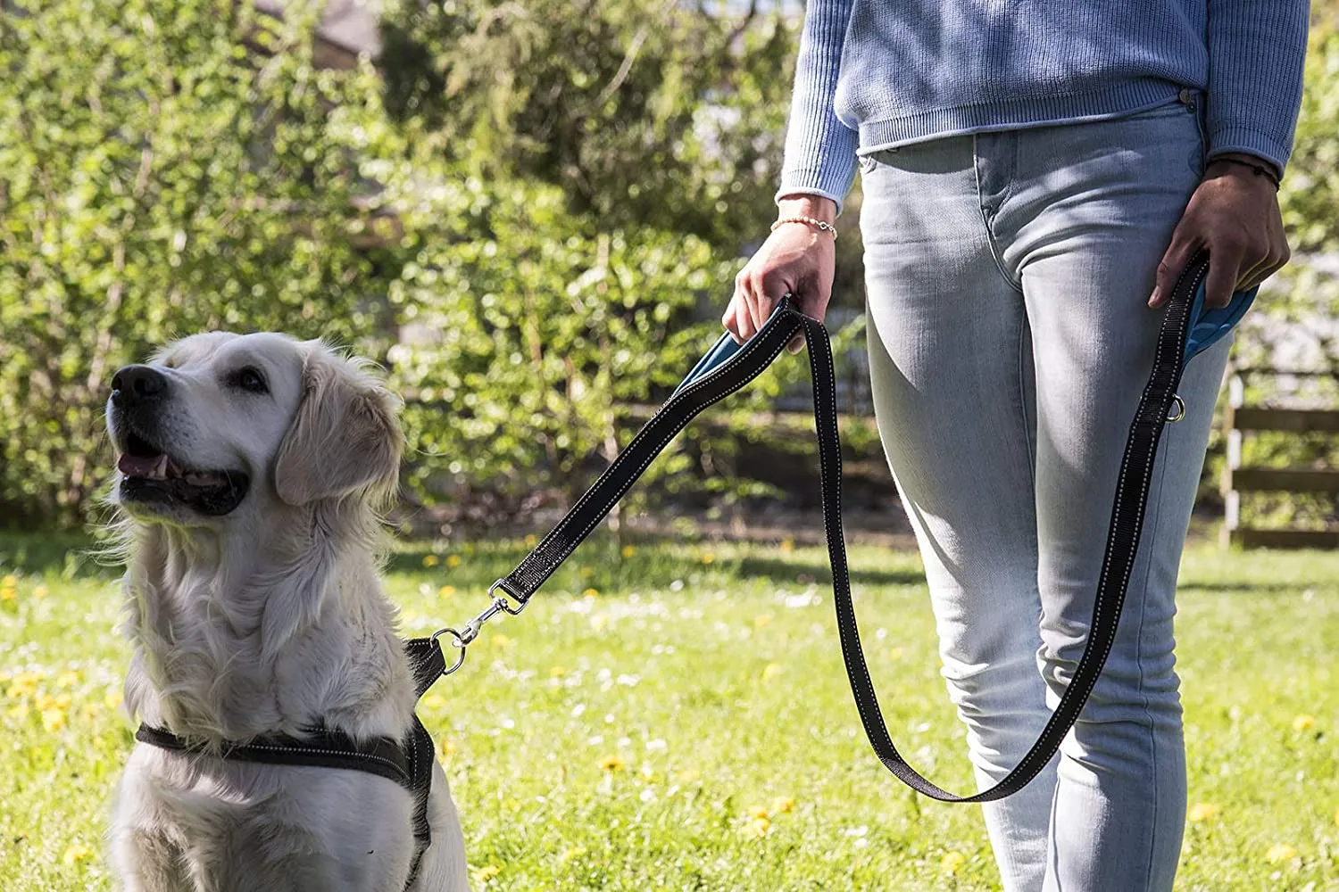 Dog Leash Medium To Large Dogs With Two Handles  Training Control  Reflective