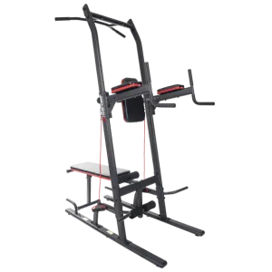 Entercise Gym Power Tower Dip Station [WS]