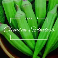 Heirloom Organic Clemson Spineless Okra Seeds