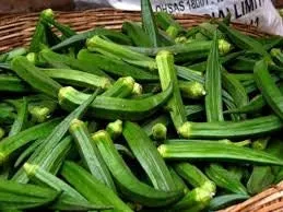 Heirloom Organic Clemson Spineless Okra Seeds