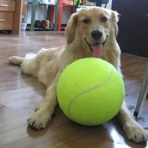 Interactive Dog Toy Tennis Ball