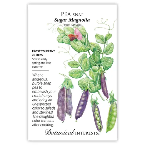 Pea Snap Purple Sugar Magnolia Seed Pkt