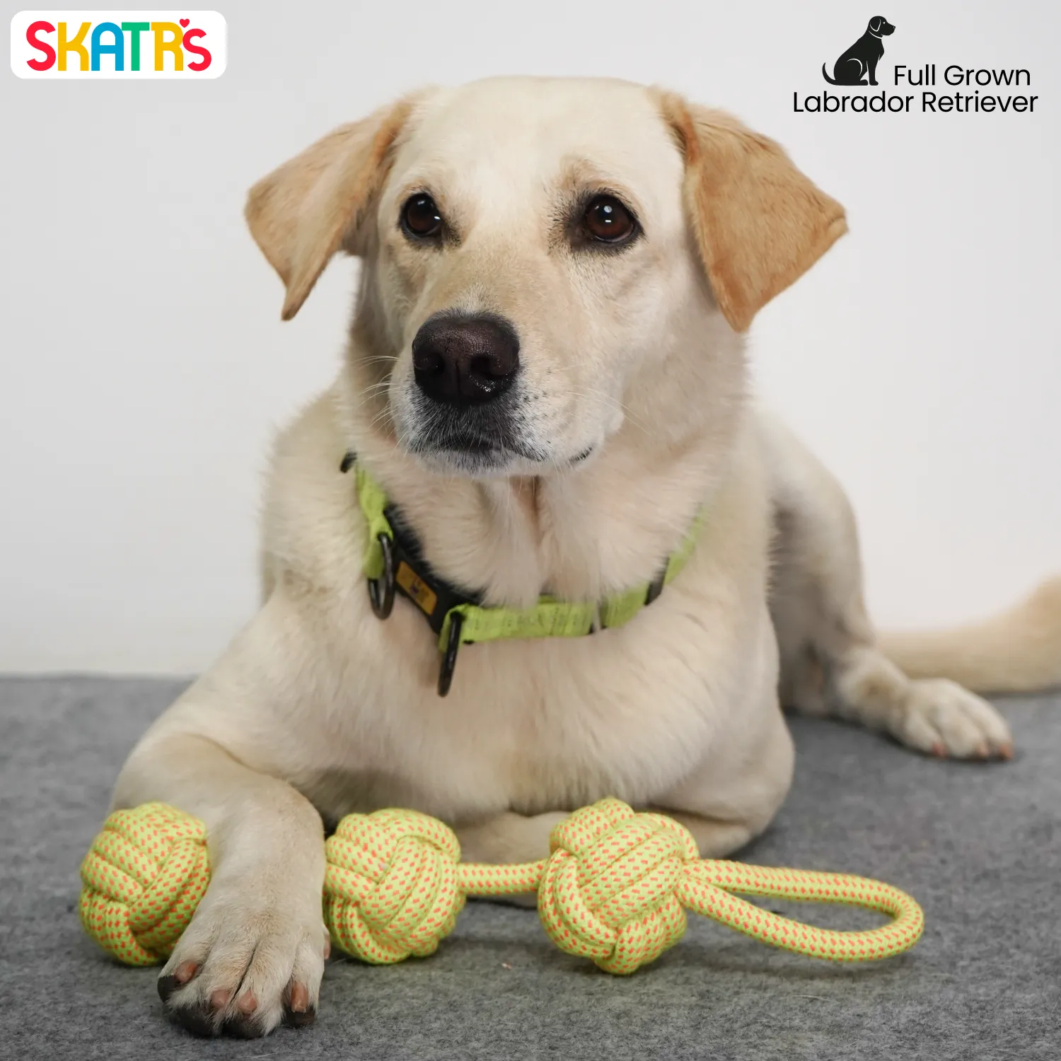 Skatrs 3 Ball Rope Tug Toy for Dogs and Cats (Yellow)