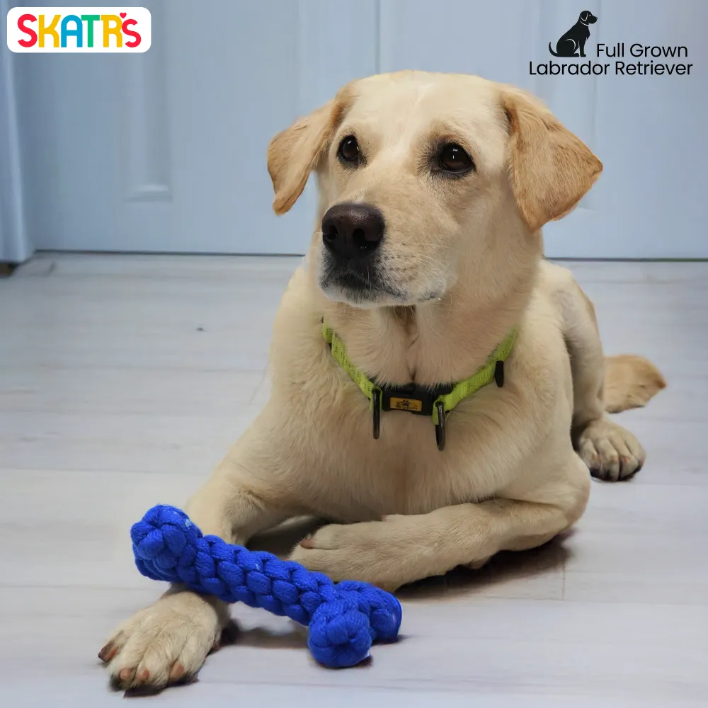 Skatrs Bone Shaped Rope Chew Toy for Dogs and Cats (Royal Blue)