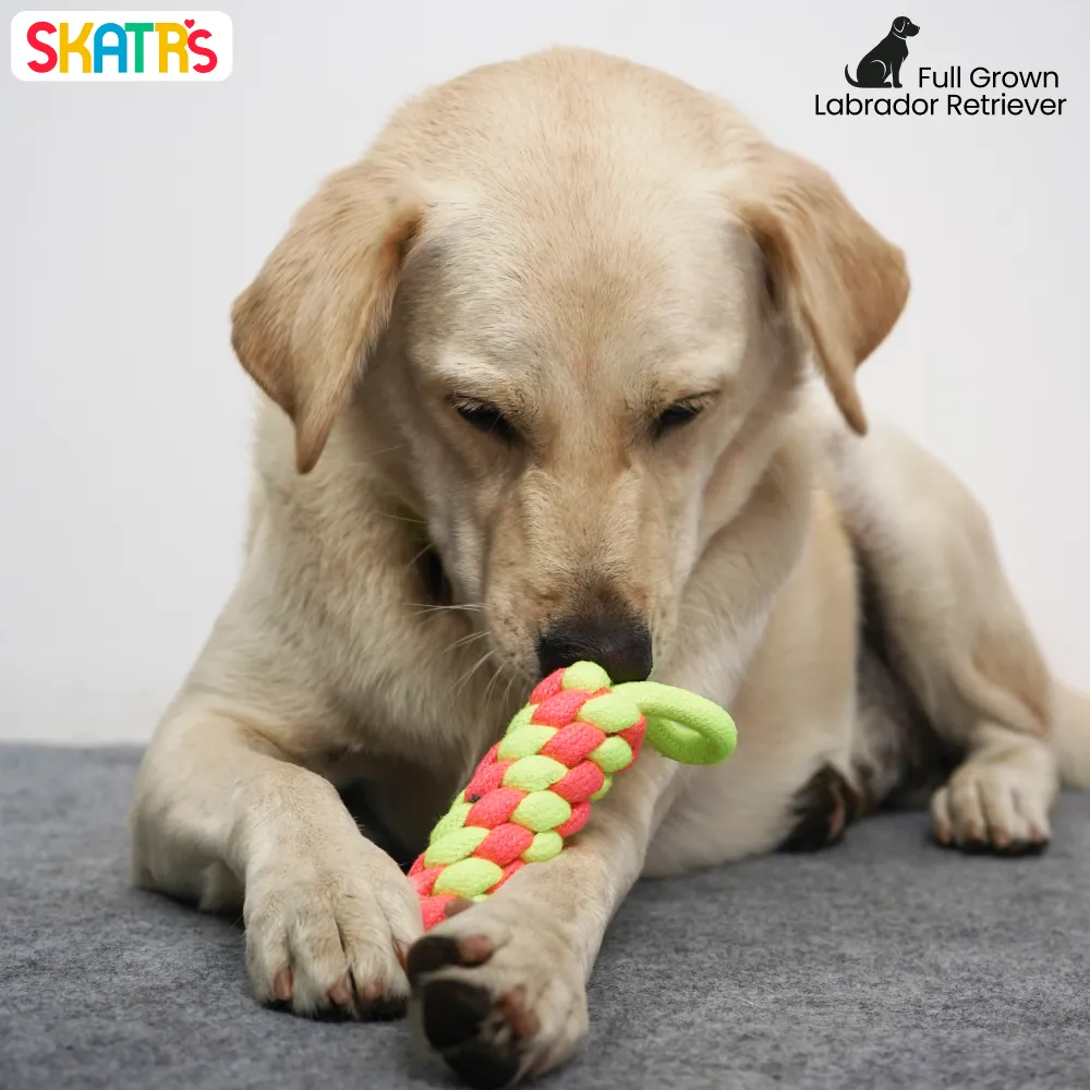 Skatrs Dummy Knotted Rope Chew Toy for Dogs and Cats (Pink/Green)