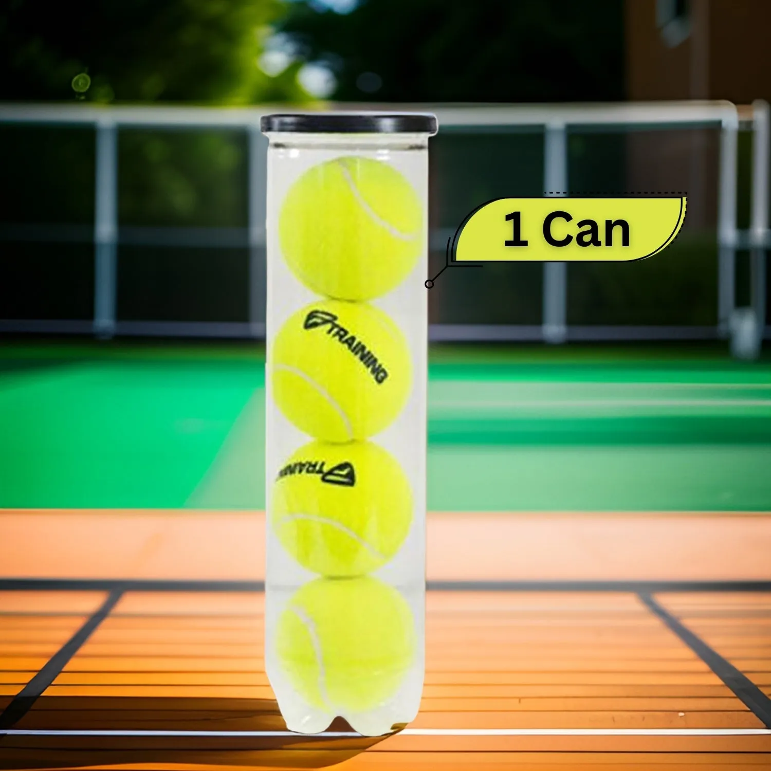 Tecnifibre Training New Tennis Balls Can, 1 Can (4 Ball Per Can)