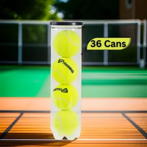 Tecnifibre Training New Tennis Balls Carton, 36 Cans (4 Ball Per Can)